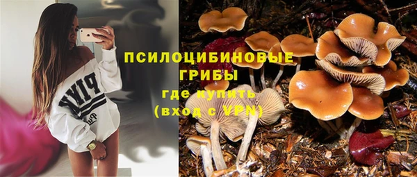 наркотики Зерноград