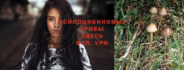 МДПВ Зеленокумск