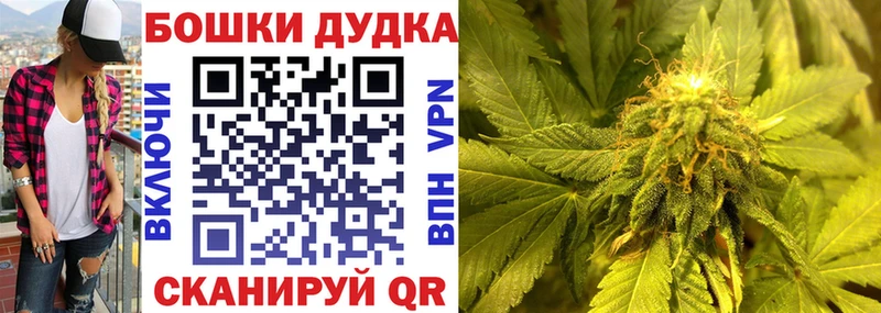 Бошки марихуана семена  Иннополис 